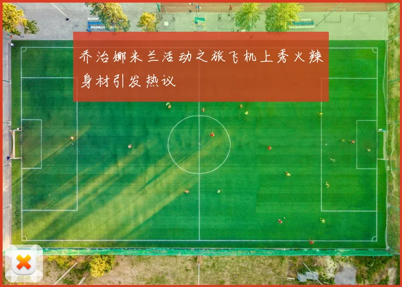 乔治娜米兰活动之旅飞机上秀火辣身材引发热议
